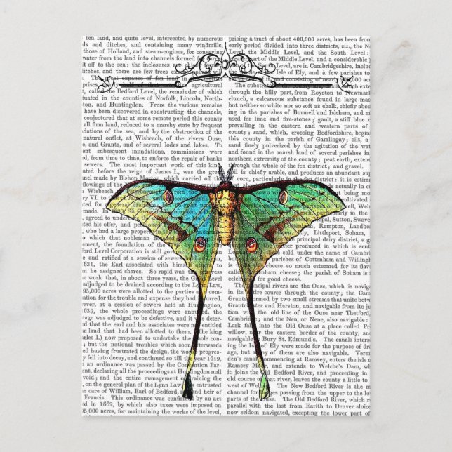 Carte Postale Papillon 2 (Devant)