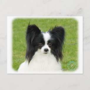 Carte Postale Papillon 9T056D-088