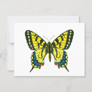 Carte Postale Papillon à queue épaisse de tigre