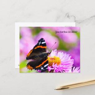 Carte postale Papillon Amiral Rouge