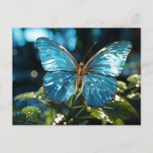 Papillon bleu assez transparent