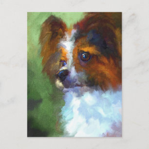 Carte postale Papillon curieux