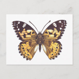 Carte Postale Papillon de femme peint