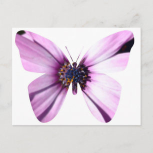 Carte Postale Papillon de fleurs