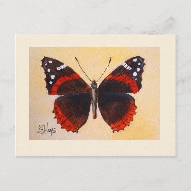 Carte postale Papillon de l'amiral rouge (Devant)