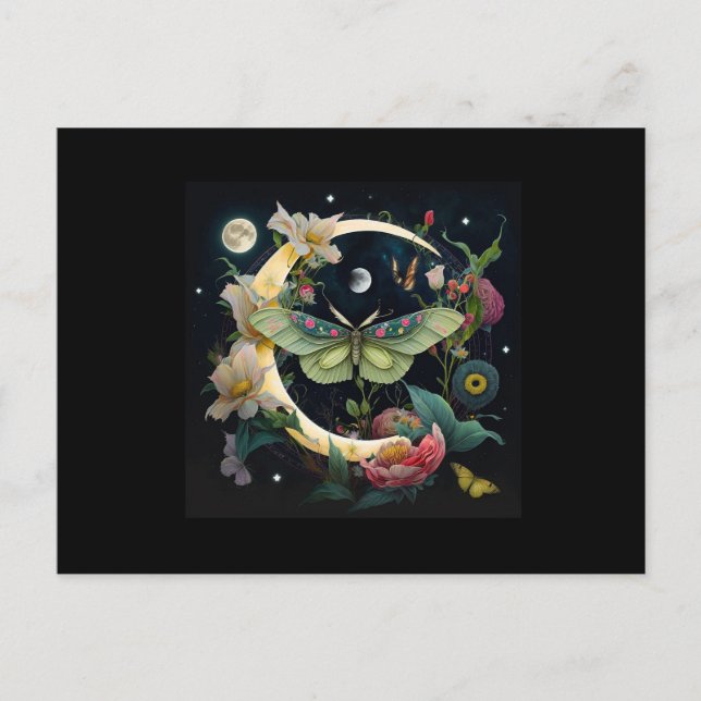 CARTE POSTALE- PAPILLON DE NUIT (Devant)