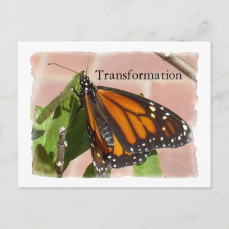 Carte Postale Papillon de transformation