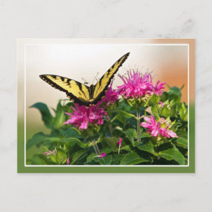Carte Postale Papillon d'épaisse du tigre oriental