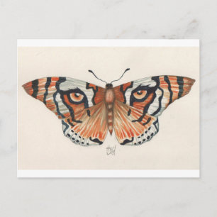 Carte Postale papillon des yeux du tigre