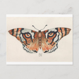Carte Postale papillon des yeux du tigre
