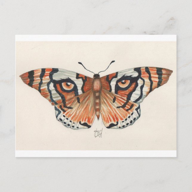 Carte Postale papillon des yeux du tigre (Devant)