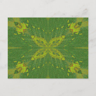 Carte Postale Papillon Du Vert