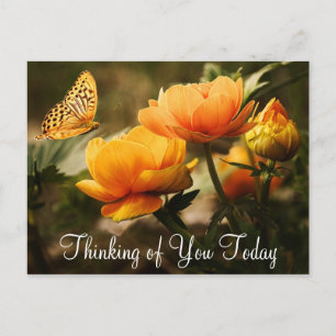 Carte postale Papillon et Fleurs