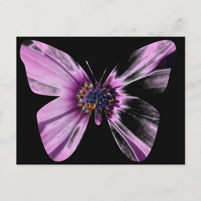 Carte Postale Papillon Fleur (Devant)