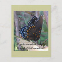 Papillon graphique avec verse