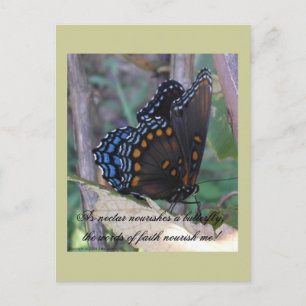 Carte Postale Papillon graphique avec verse