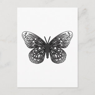 Carte Postale Papillon gris
