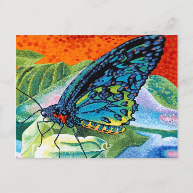 Carte Postale Papillon II (Devant)