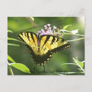 Carte Postale Papillon jaune SwallowTail