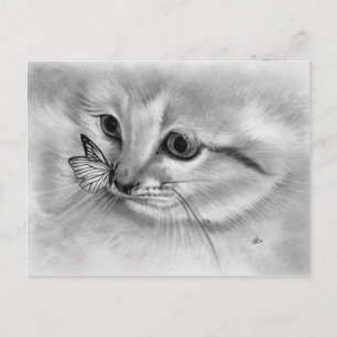 Carte postale papillon Kitten