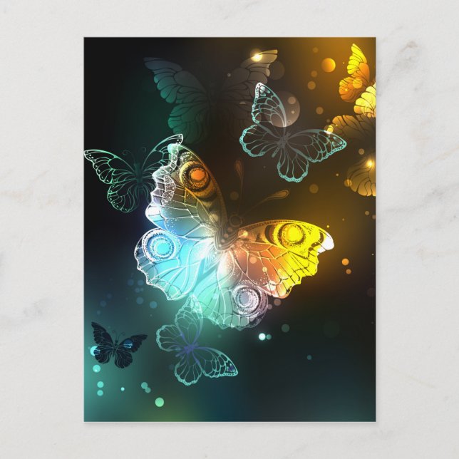 Carte Postale Papillon lumineux et papillons de nuit (Devant)