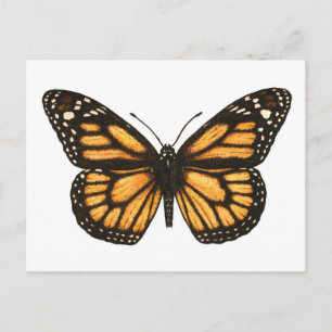 Carte Postale Papillon monarque