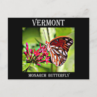 Carte Postale Papillon Monarque du Vermont