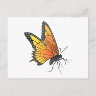 Carte Postale Papillon monarque en vol