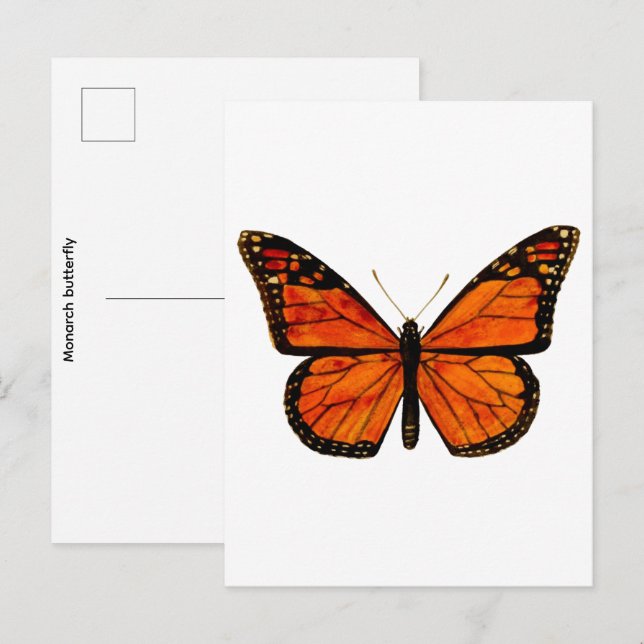 Carte Postale Papillon monarque Petit (Devant / Derrière)