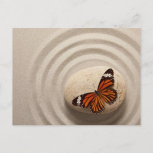 Carte Postale Papillon Monarque sur une pierre dans un jardin ze