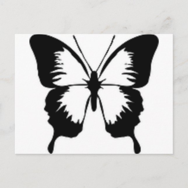 Carte Postale Papillon noir (Devant)