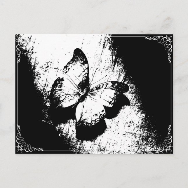 Carte Postale Papillon noir et blanc (Devant)
