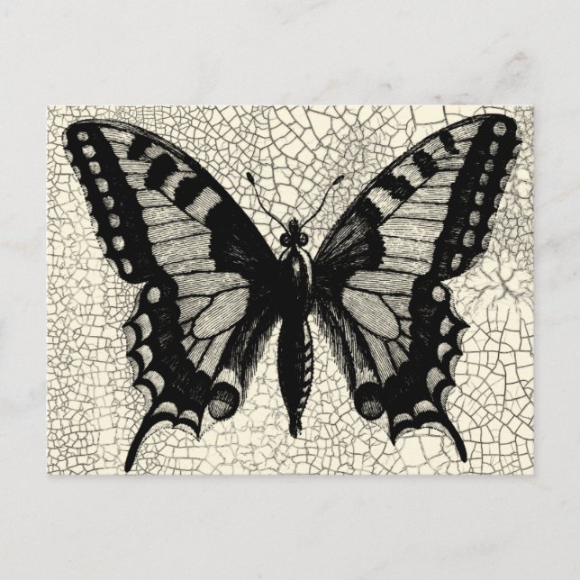 Carte Postale Papillon noir et blanc sur Arrière - plan fissuré (Devant)