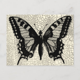 Carte Postale Papillon noir et blanc sur Arrière - plan fissuré