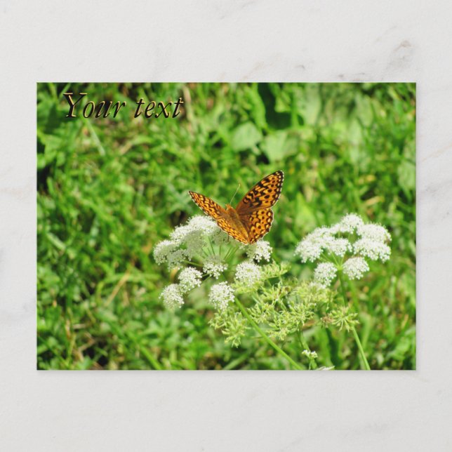 Carte Postale Papillon orange et noir avec votre texte (Devant)