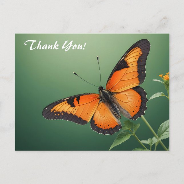 Carte Postale Papillon orange sur fond vert (Devant)