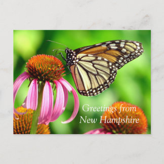 Carte Postale Papillon orange tacheté_Voeux de NH