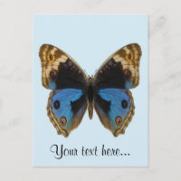 Papillon Pansy Bleu