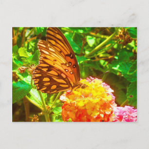 Carte Postale Papillon (papillon)