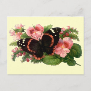 Carte Postale Papillon & Pois doux Floral Garden Cadeaux Design