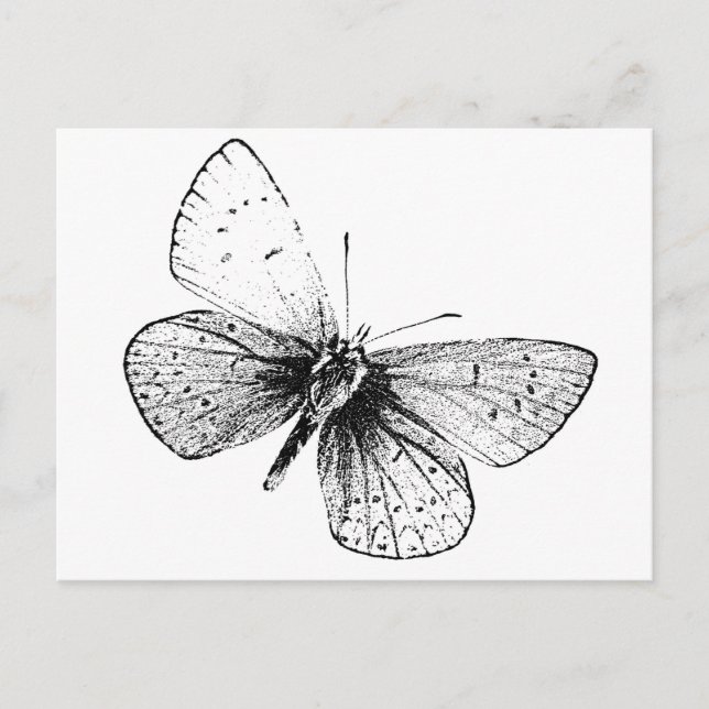 Carte Postale Papillon Pop Art (Devant)