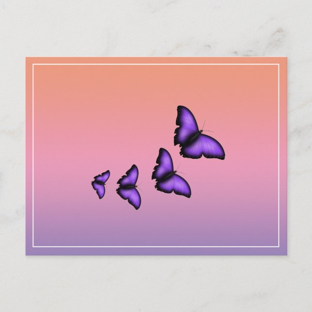 Carte Postale Papillon pourpre (Devant)