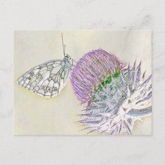 Carte Postale Papillon sur une fleur rouge