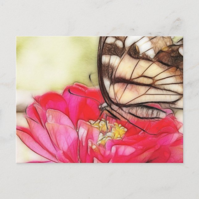Carte Postale Papillon Swallowtail jaune sur une Zinnia (Devant)