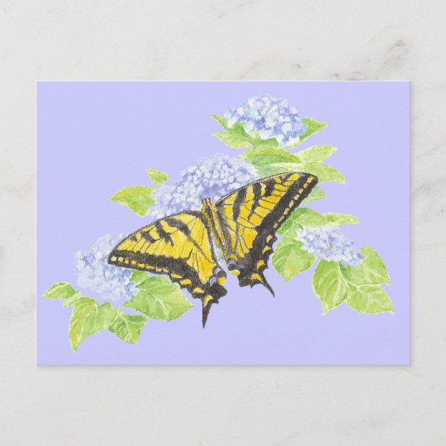 Carte Postale Papillon Swallowtail sur Hydrangea Flower art (Devant)