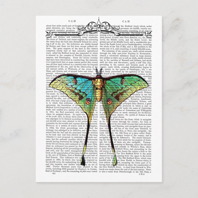 Carte Postale Papillon vibrant (Devant)