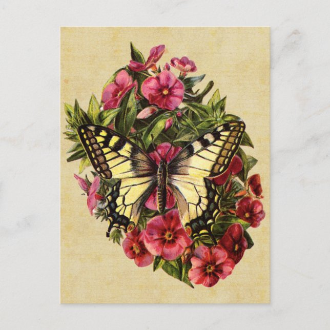 Carte postale papillon vintage (Devant)