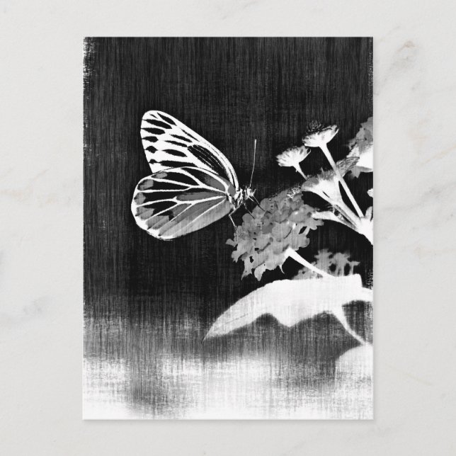 Carte Postale Papillon vintage sur fleur - Noir et Blanc (Devant)