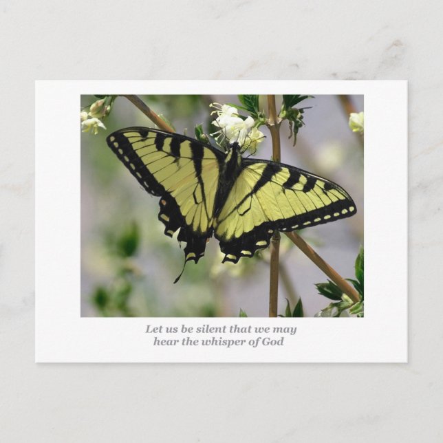 Carte Postale Papillon Whisper (Devant)