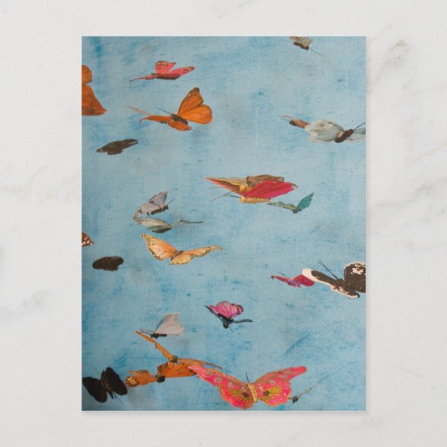 Carte Postale Papillons (Devant)